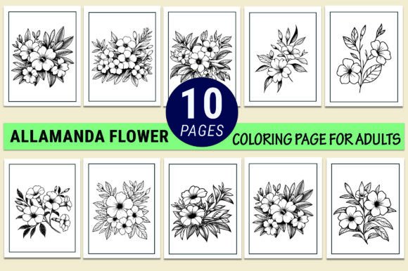 Allamanda Flower Graphics for Coloring Pages Amp