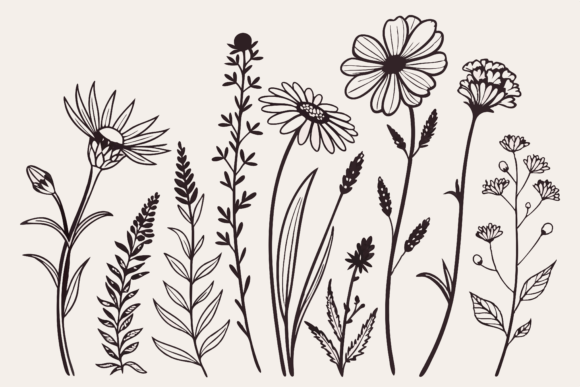Birth Month Flowers Line Art SVG: A Designer's Review