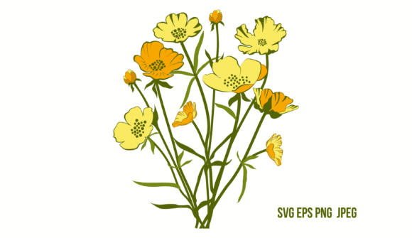 Buttercup Flowers: Warm Graphics & Illustrations