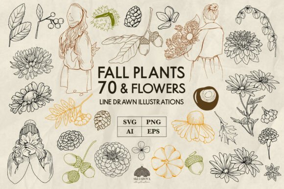 Fall Flowers & Forest Line Art: Premium Graphics
