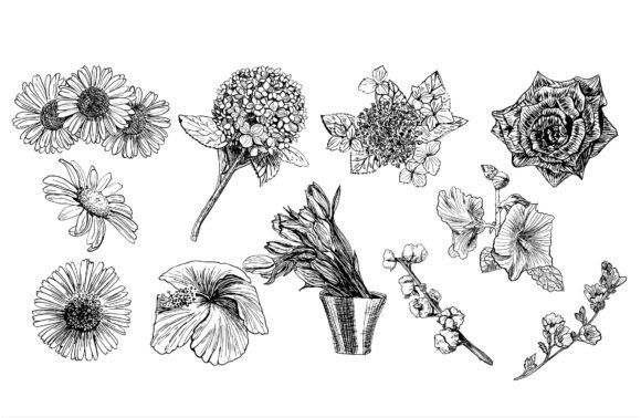 Flowers Line Svg: Graphics & Illustrations