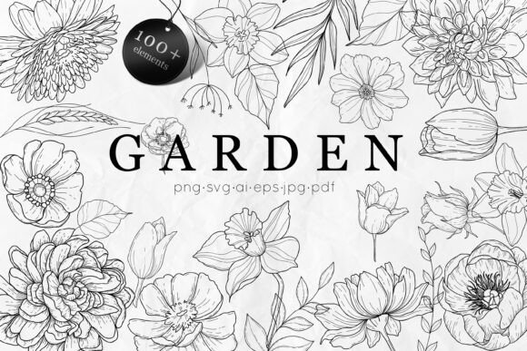 Garden Flowers Line Art: Graphics & Illustrations