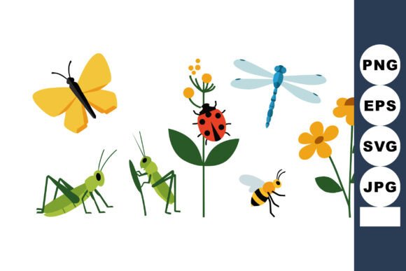 Insects and Flowers Vector Illustration: Graphics & Illustrations Review