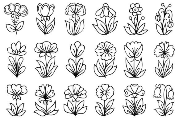 Line Art Hand Drawn Flowers: Graphics & Illustrations Review