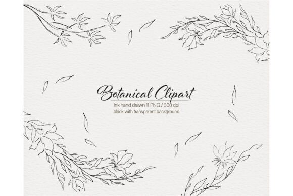 Modern Flowers Botanical Hand Drawn Graphics & Illustrations