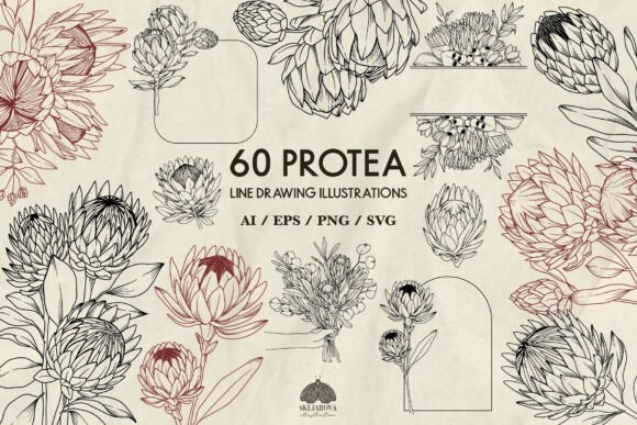 Protea Graphics & Illustrations for Crafters