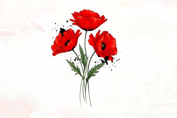 Red Poppy Graphics & Illustrations for Branding