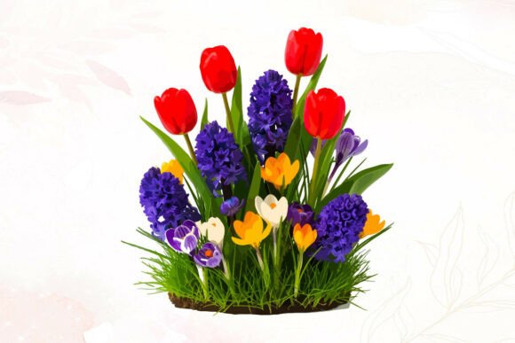 Spring Flowers Graphics: Tulips & Crocus Illustrations