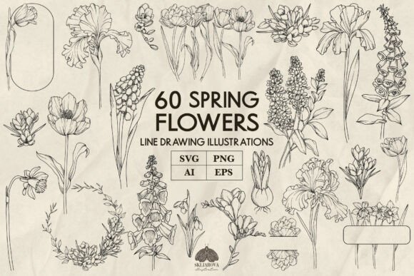 Spring Flowers Line Art: Graphics & Illustrations