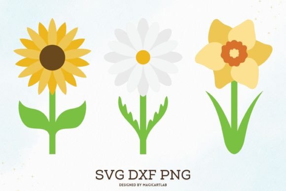 Sunflower, Daisy, Daffodil Cliparts for Crafts & Graphics