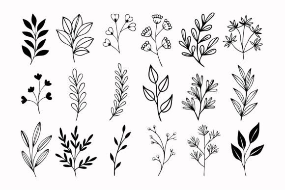 SVG Wildflowers: Graphics & Decorative Elements
