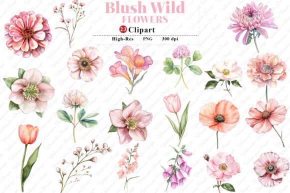Watercolor Blush Wild Flowers: Graphics & Illustrations
